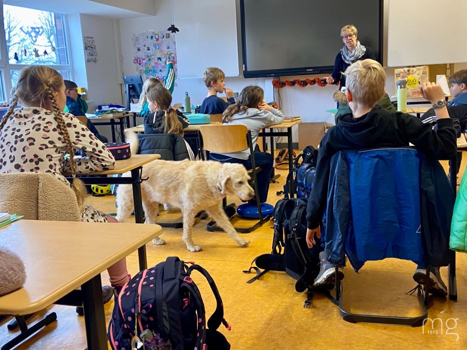Hundebesuch im Biologieunterricht